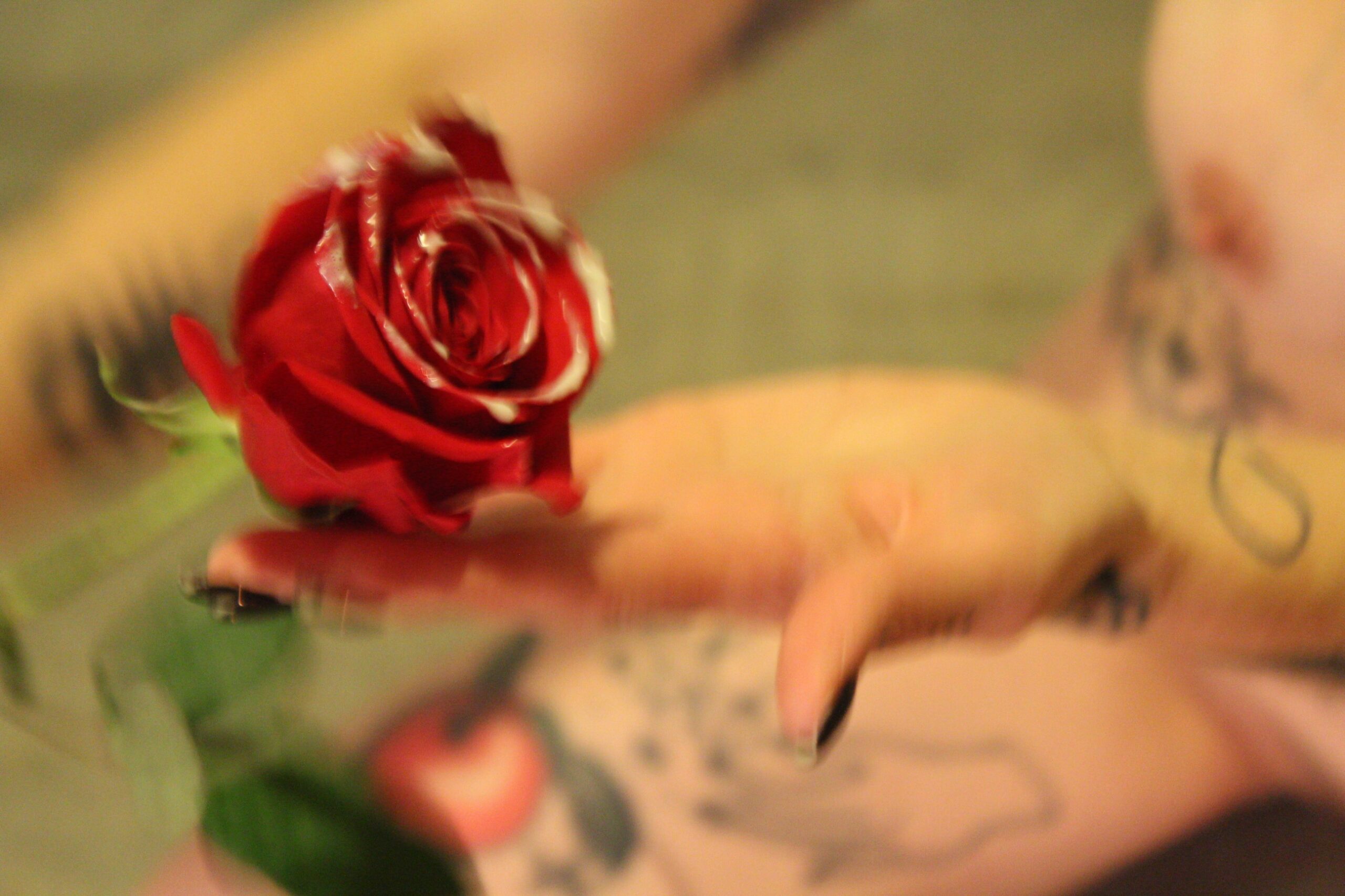 3BCE8DD4-2770-443A-8C34-5B33950CDBF5